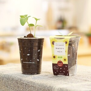 에이지리스에비뉴 반려식물 화분재배키트 컵 가든 시리즈 씨앗 키우기