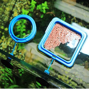 에이지리스에비뉴 열대어 구피 거북이 먹이 물 오염 방지 피딩 트레이 KK433