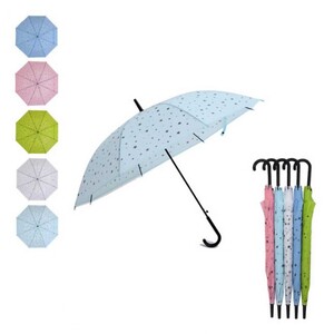 에이지리스에비뉴 반투명 별무늬 우산x5개 색상랜덤