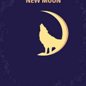 에이지리스에비뉴 아이윙스 피포페인팅 GX5244 NEW Moon DIY명화그리기 DIY그림